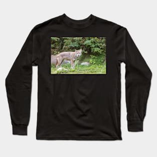 A lone Coyote in the forest Long Sleeve T-Shirt